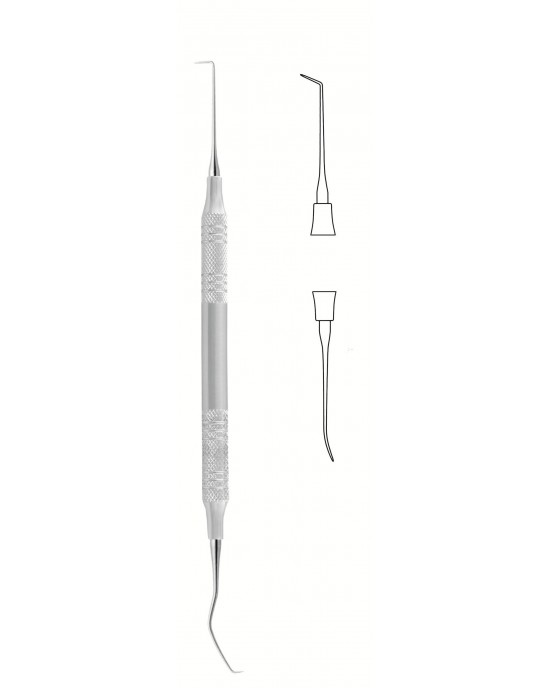 DS-56-1569
