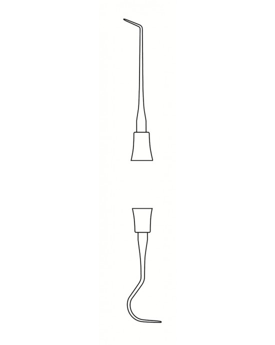 DS-56-1579