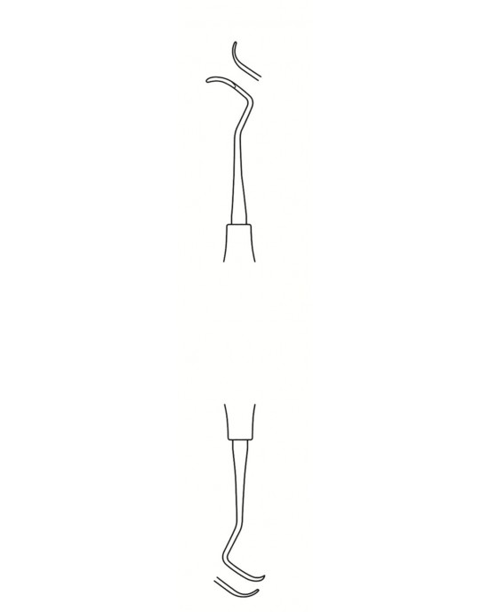 DS-56-1596