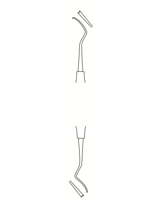 DS-56-1613