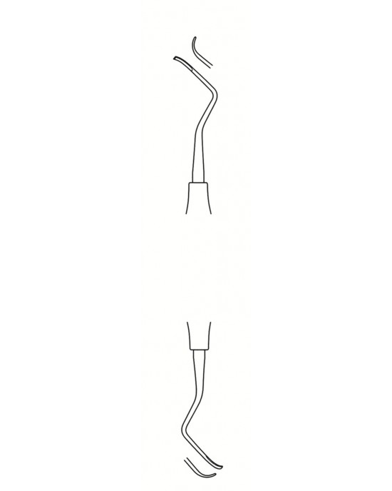 DS-56-1598