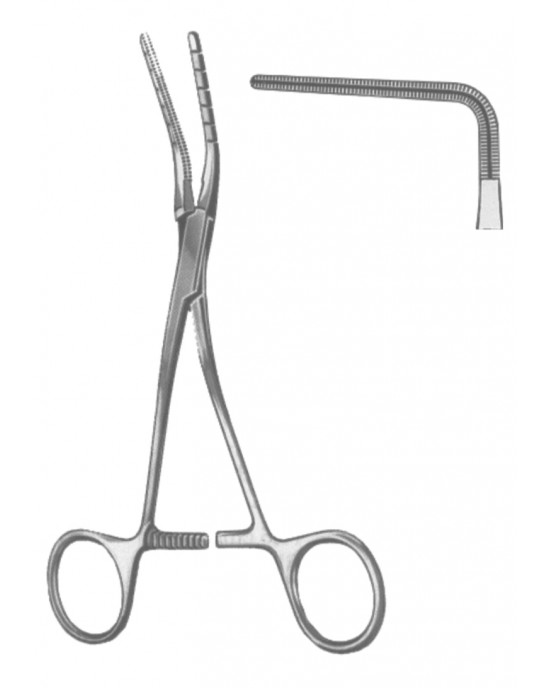 DS- 19-5596-01