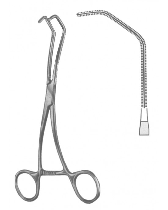 DS- 19-5600-04