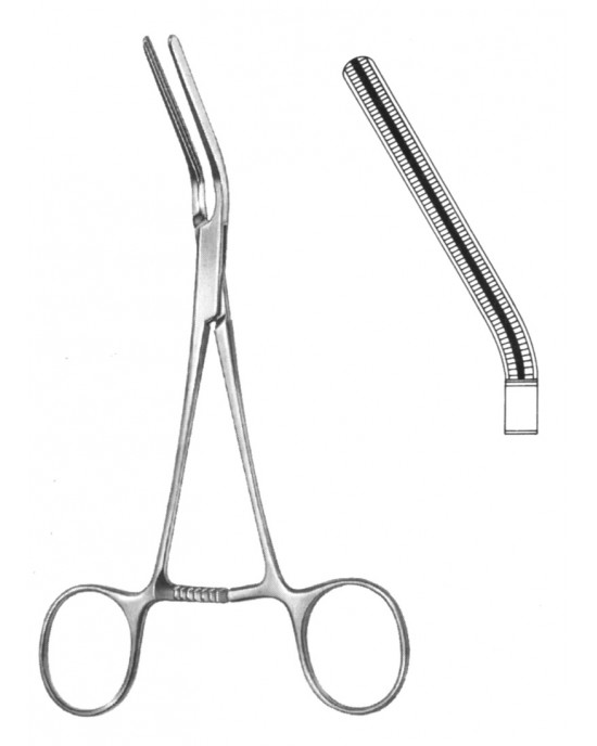 DS- 19-5751-08