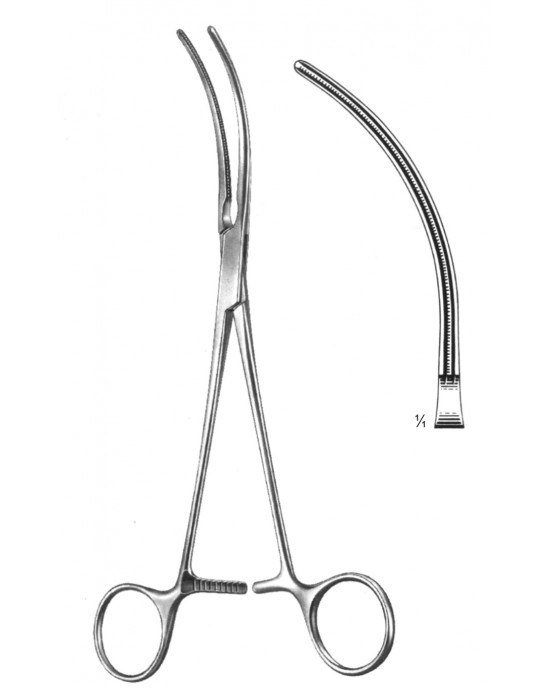 DS- 19-5769-21