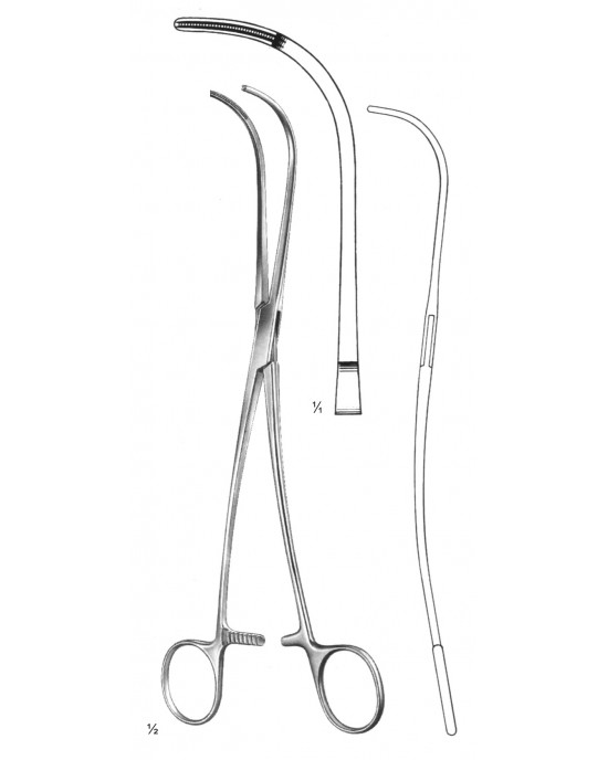 DS- 19-5788-24