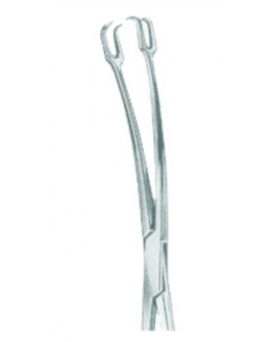 DS- 29-8170-23