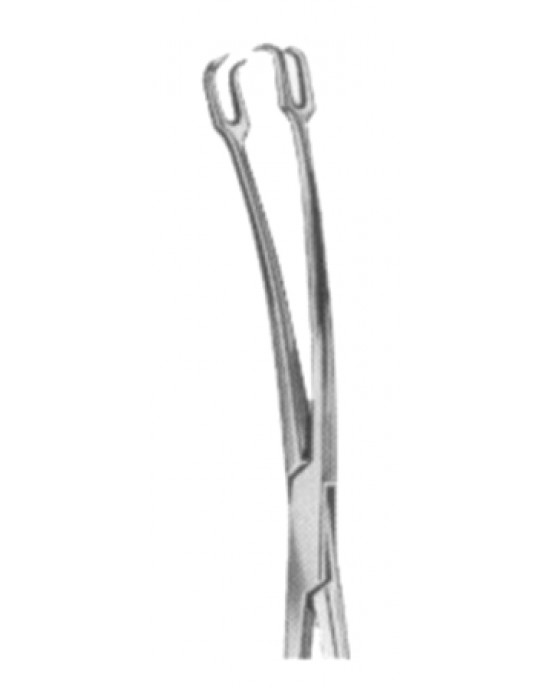 DS- 29-8170-24